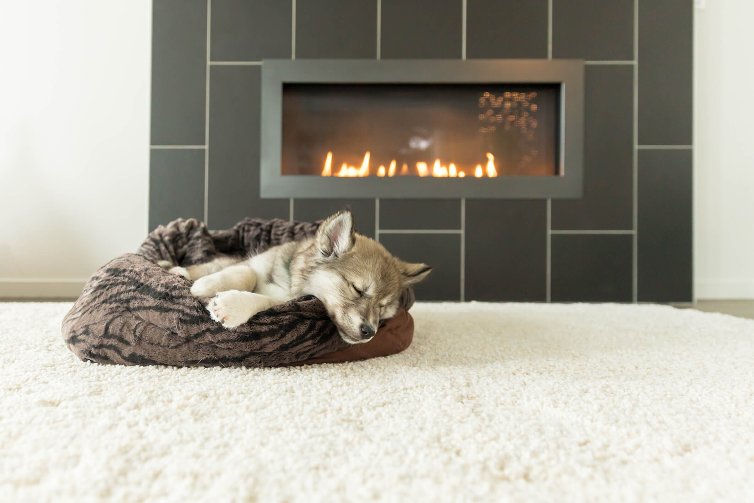 PLAY dog bed by fireplace