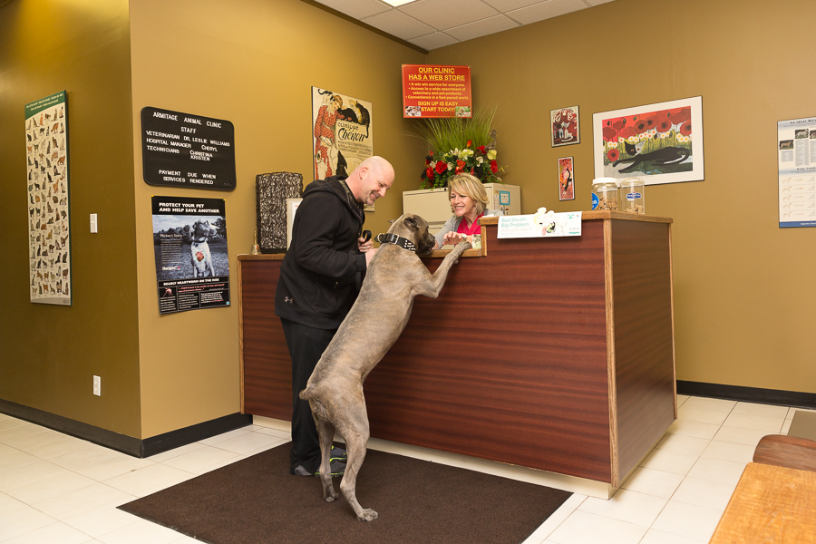greeting clients at veterinary clinic reception photographed by Karen Weiler