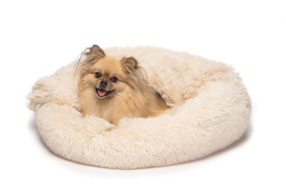 Mushy Beds™ Karen Weiler Photography