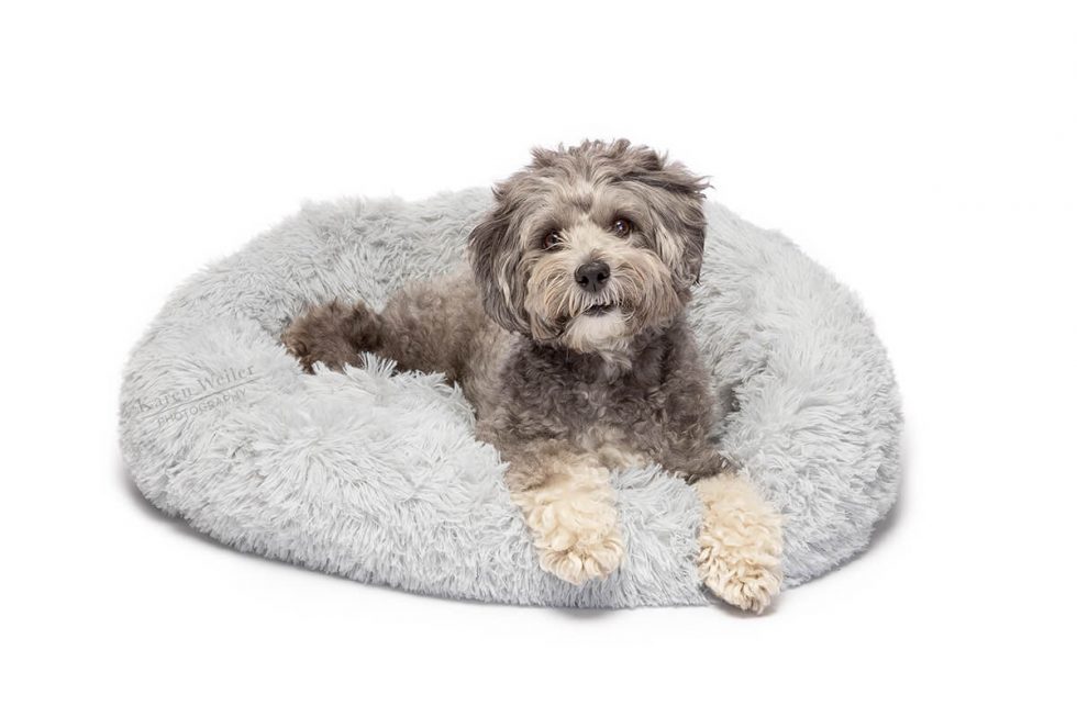 Mushy Beds™ Karen Weiler Photography