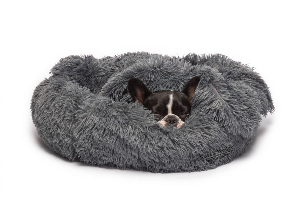 Mushy Beds™ Karen Weiler Photography