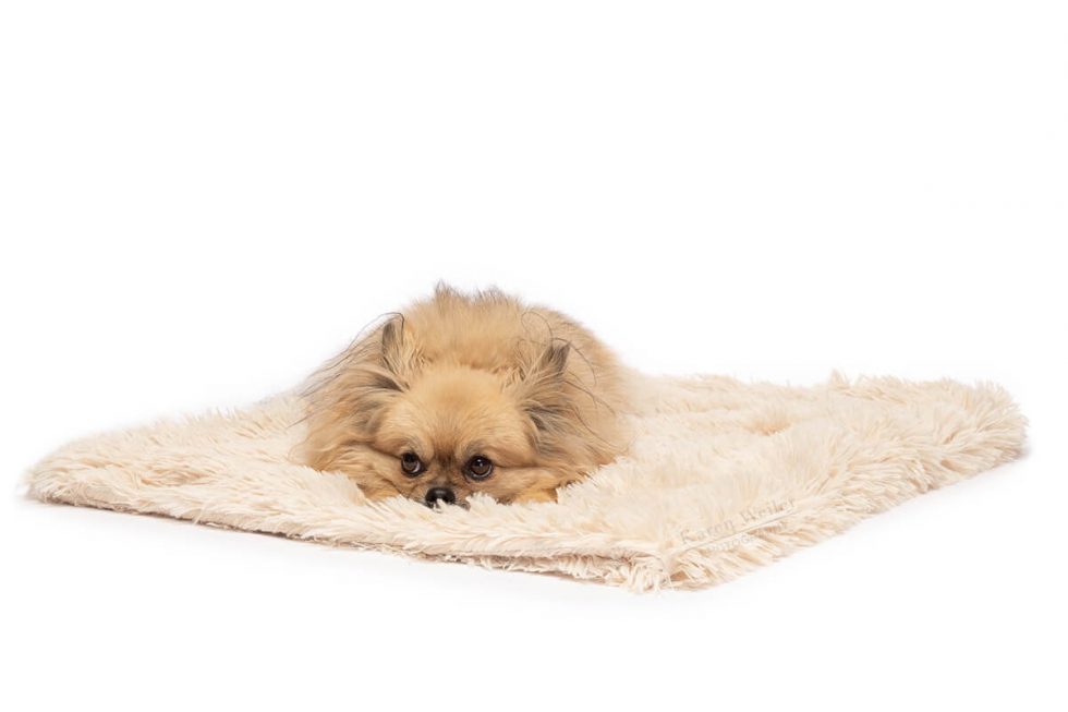 Mushy Beds™ Karen Weiler Photography