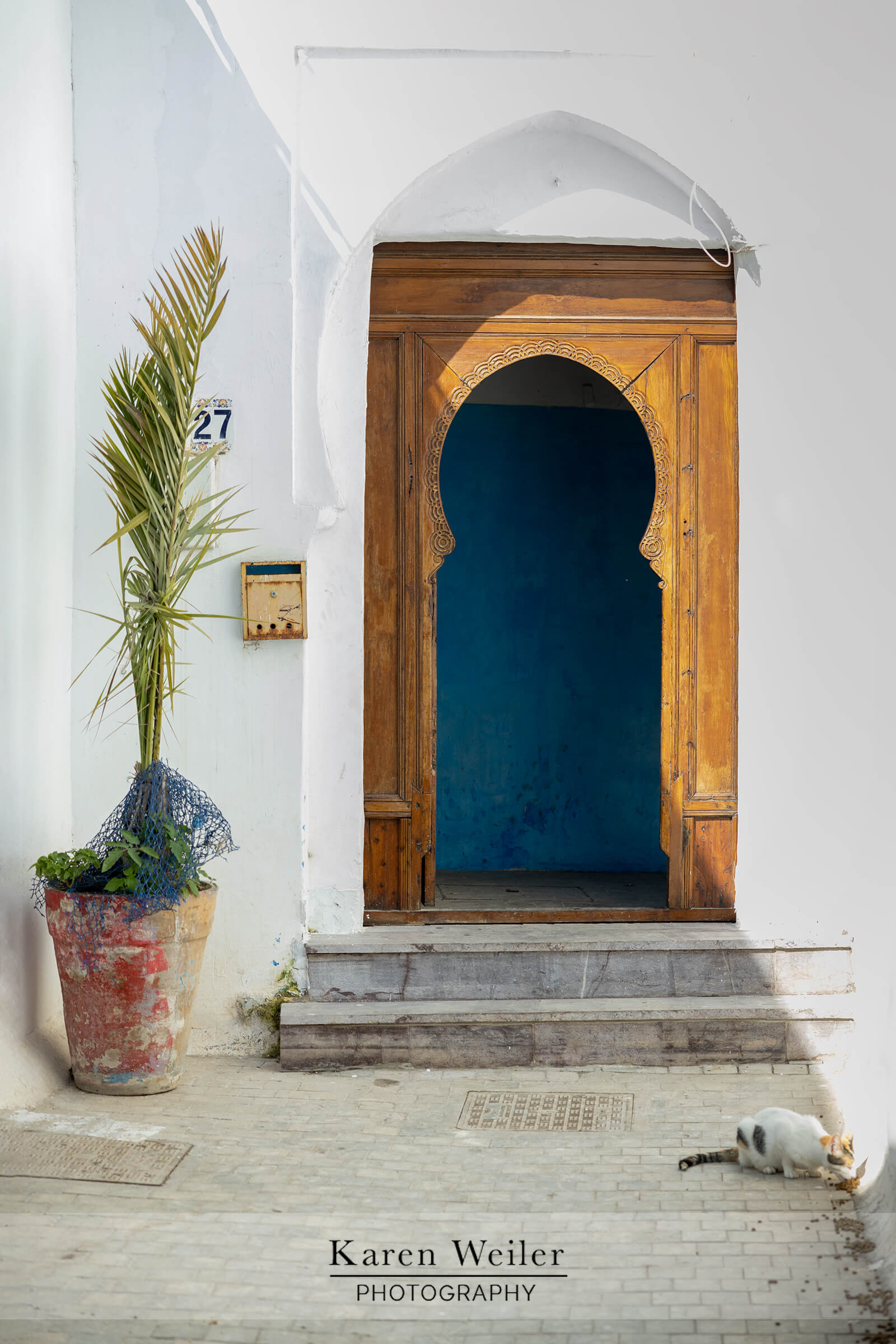 cat in Moroccan doorway.
