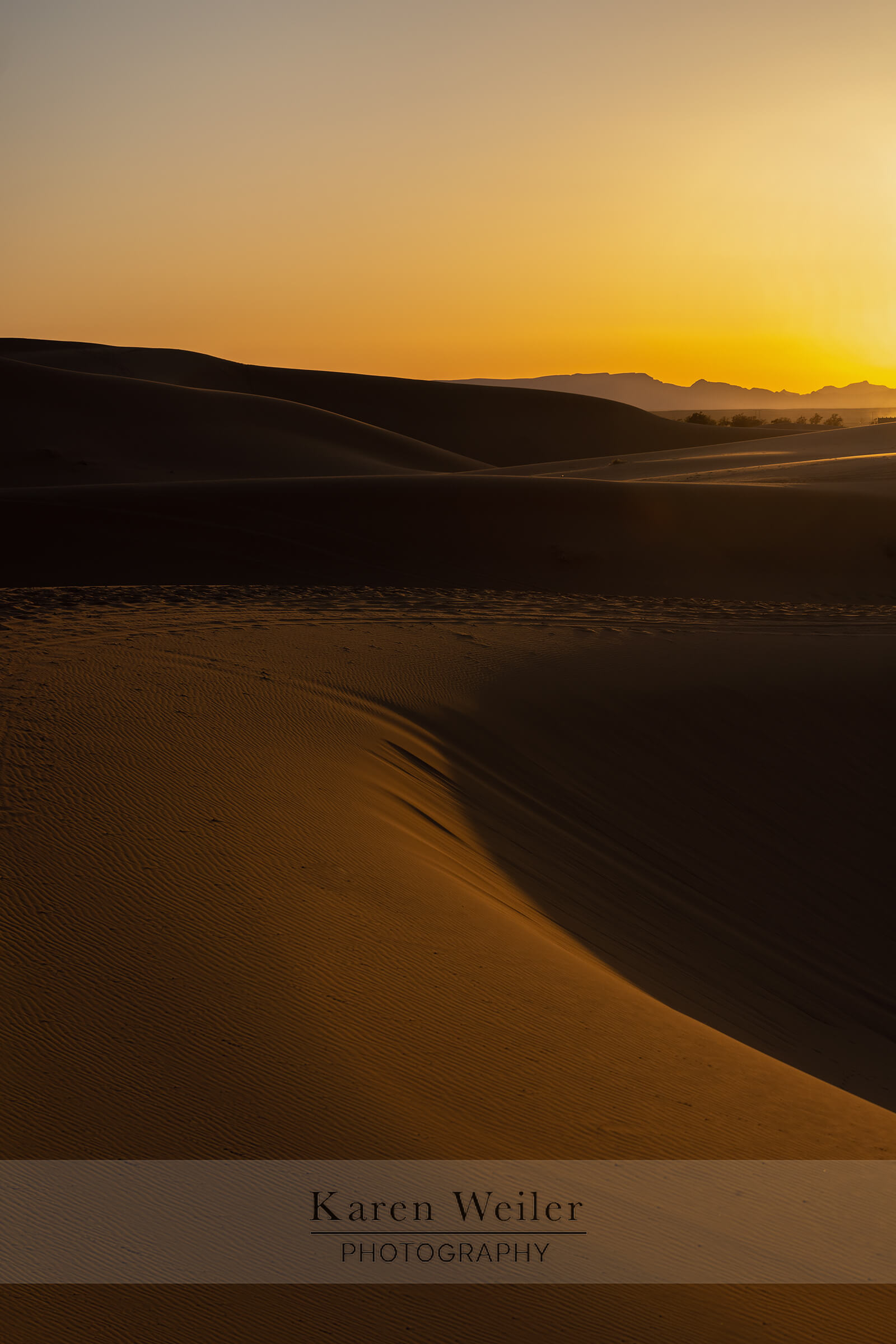 Sahara Desert dunes at sunset