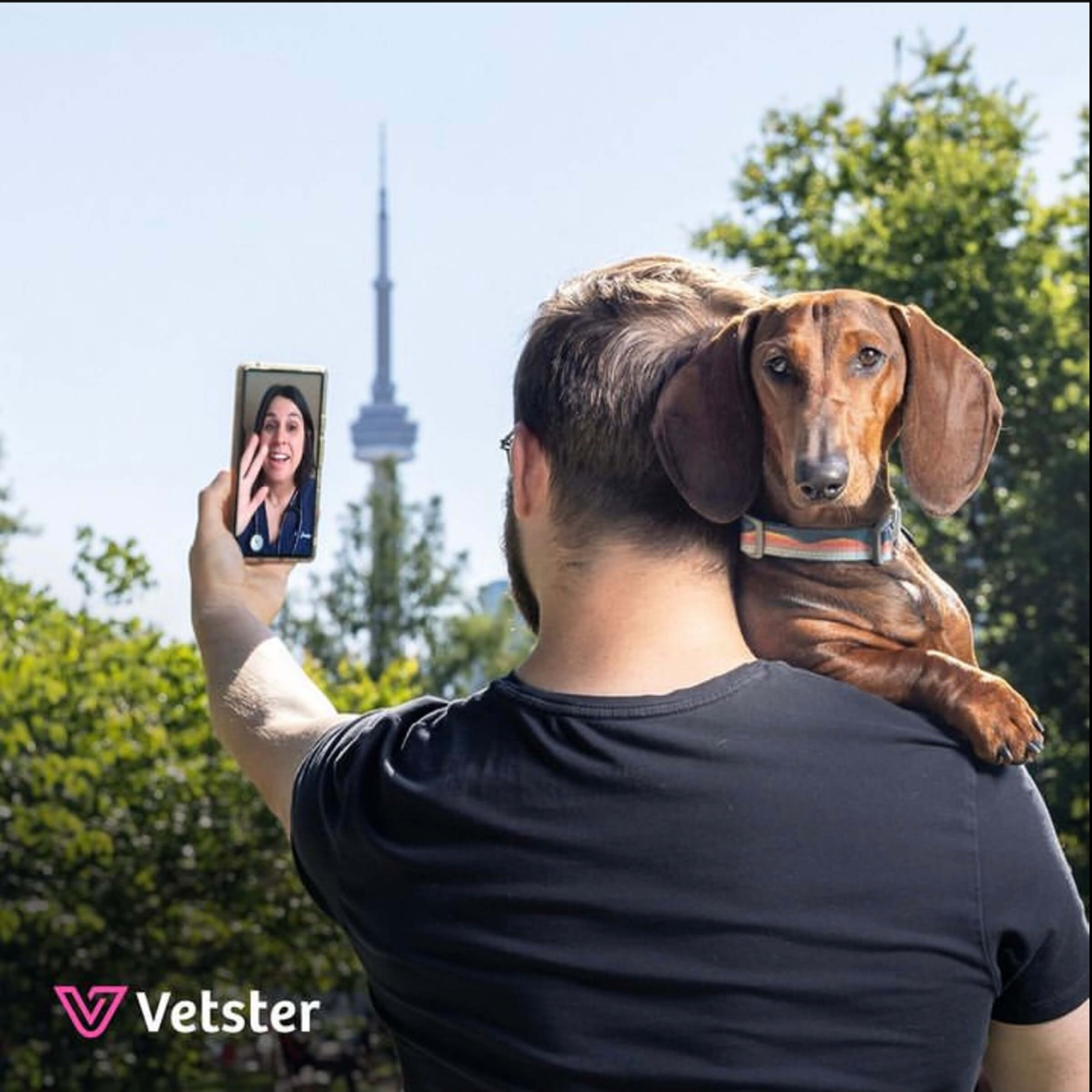 commercial pet photography for Vetster