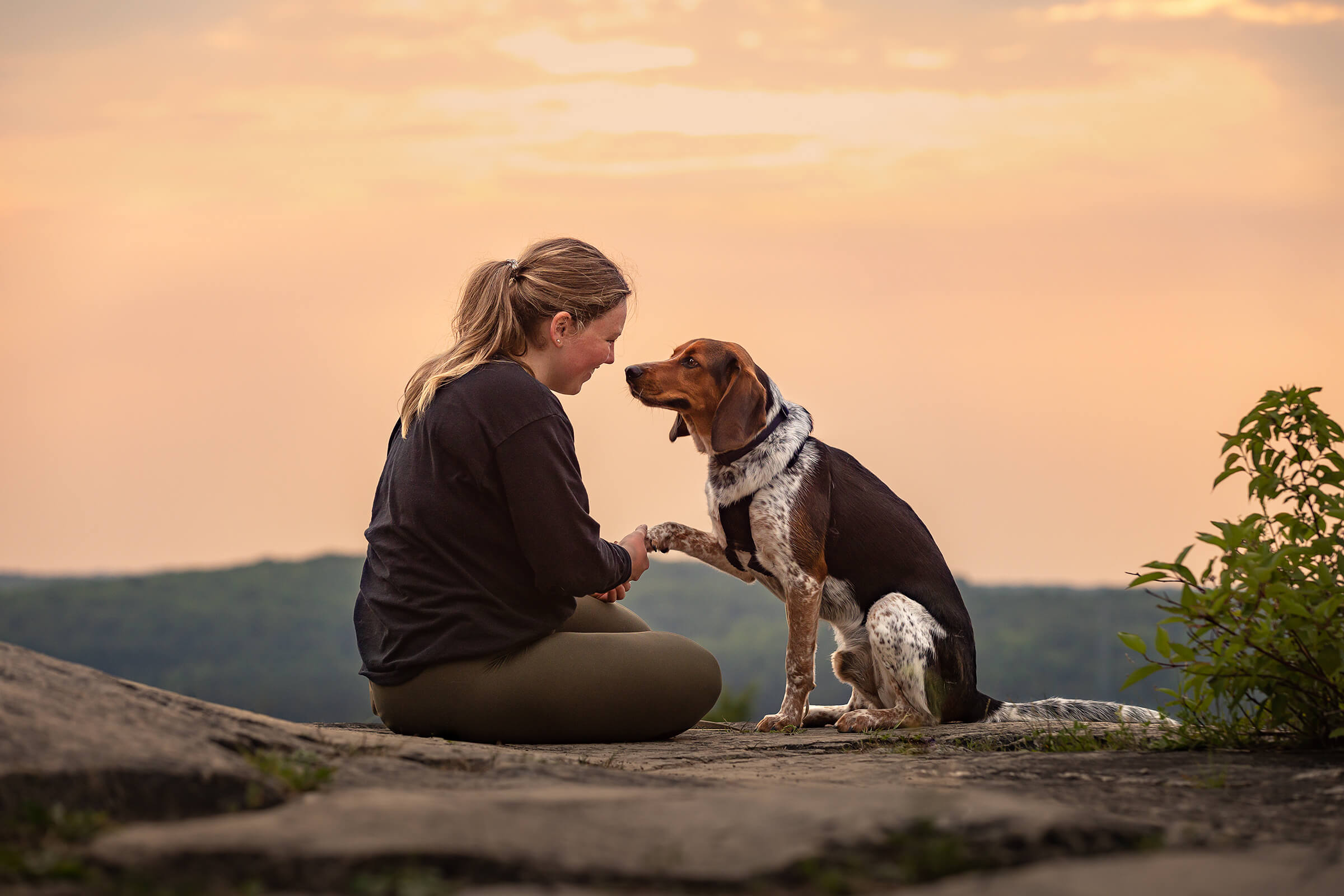 woman and german shepherd hike at Cameron Lake, Milton, Ontario.