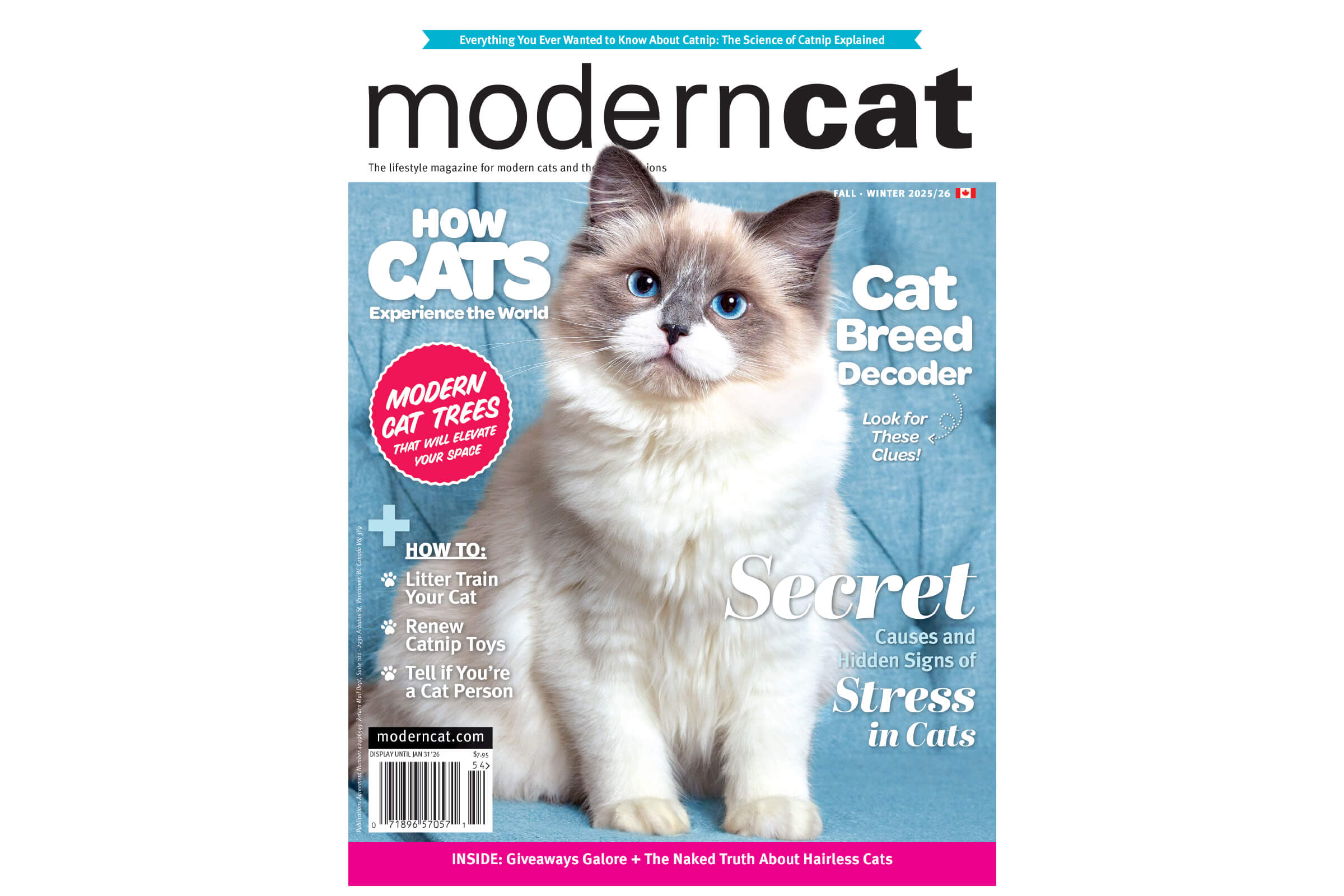 Studio portrait of a cat captured by Karen Weiler Photography, Toronto commercial pet and animal photographer specializing in editorial portraits.