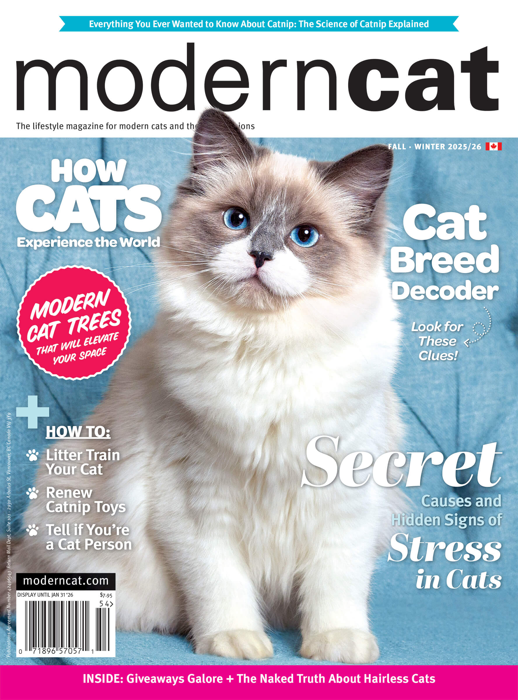 Fall Winter 2025 issue of Modern Cat magazine by Karen Weiler