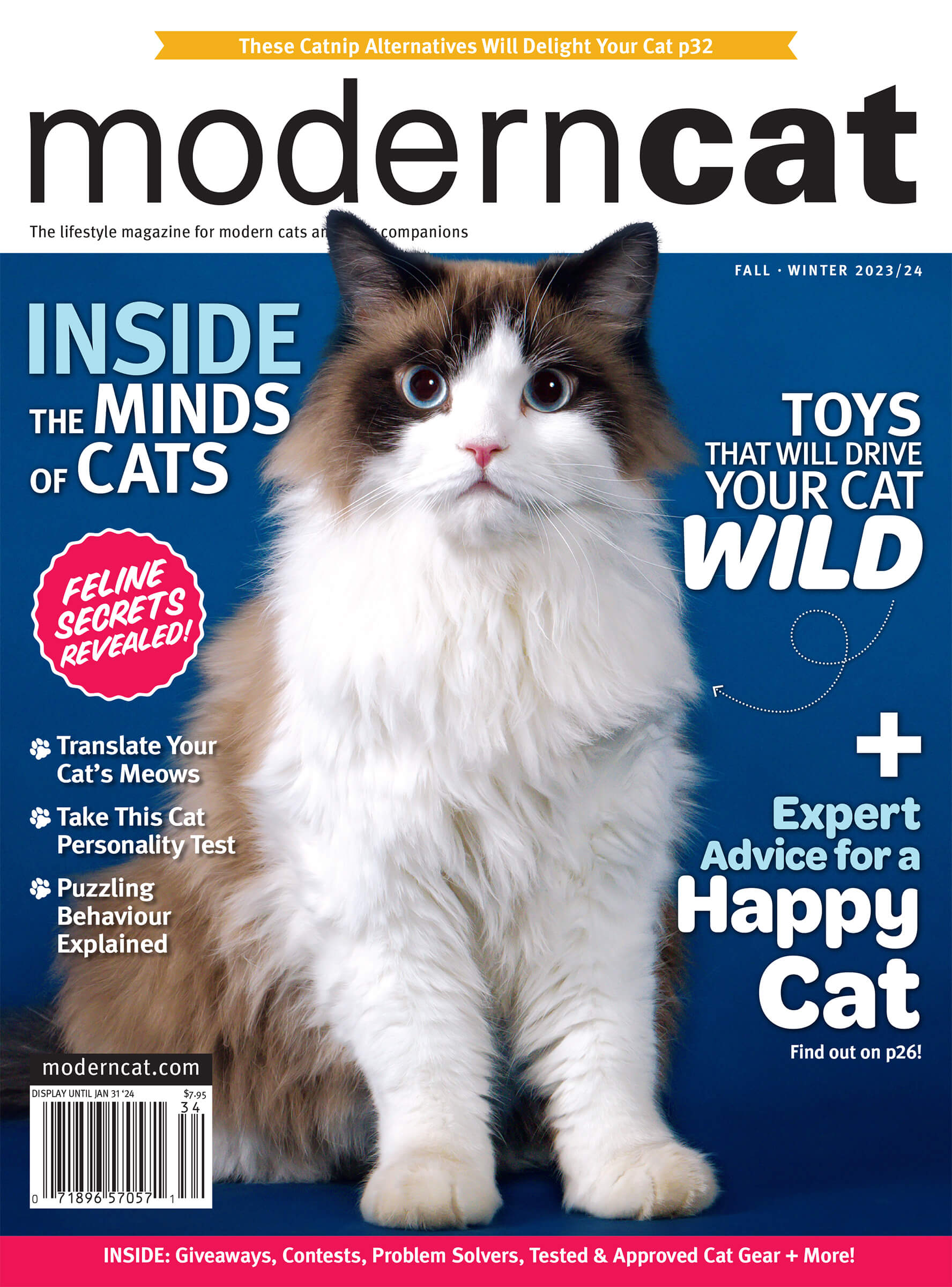 Fall Winter 2023 Cover of Modern Cat magazine by Karen Weiler
