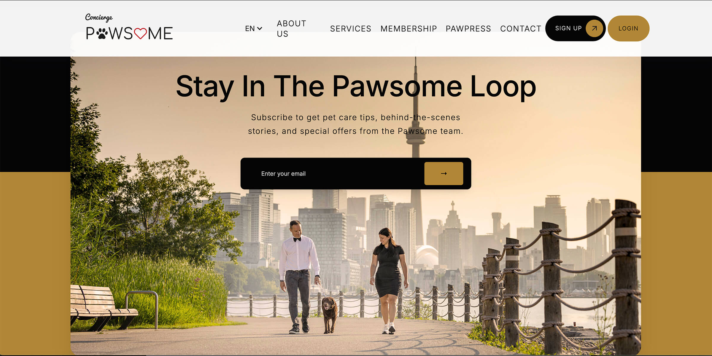 Pawsome Concierge photographed by Karen Weiler Photography in Toronto.