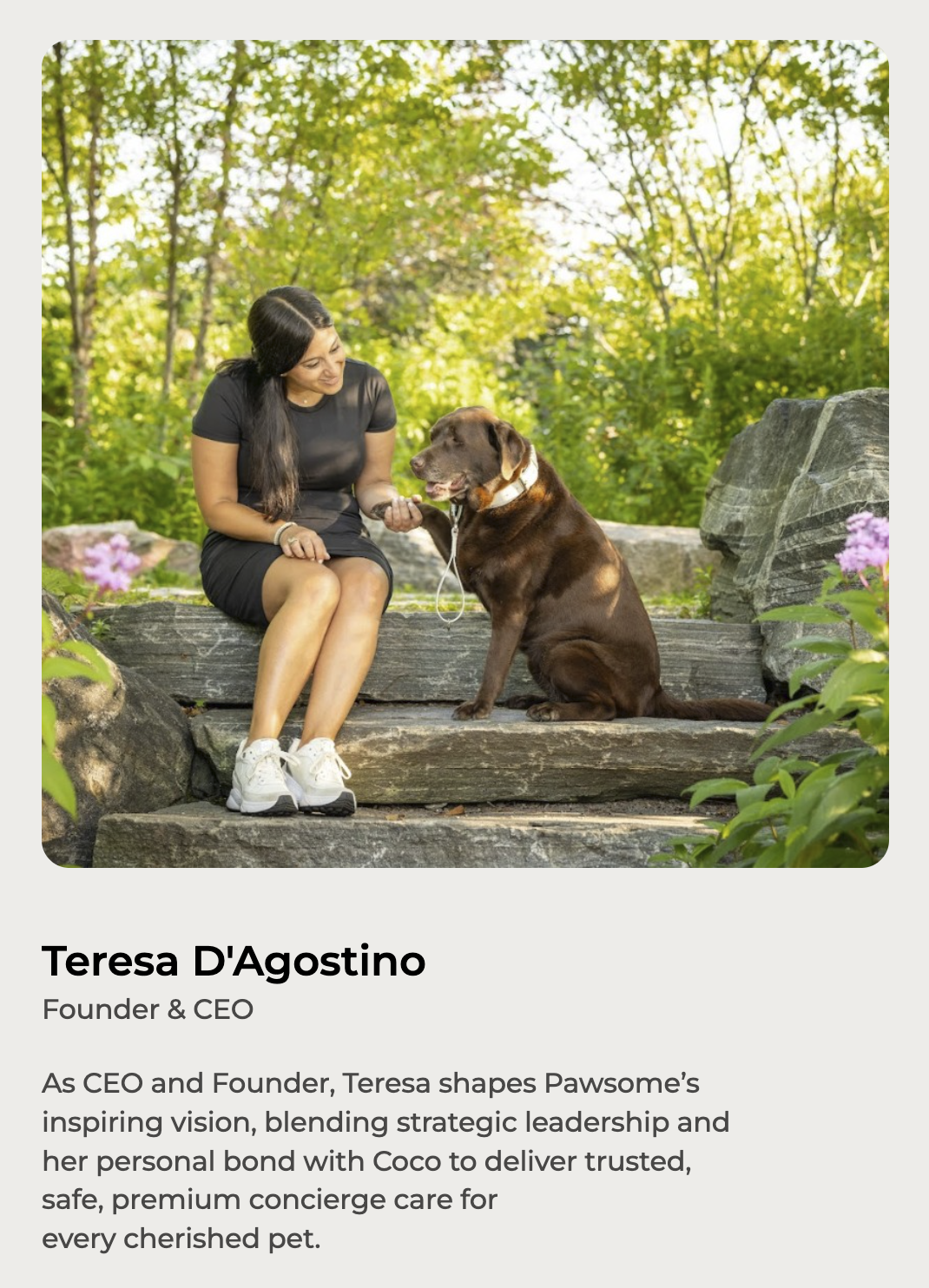 Pawsome Concierge photographed by Karen Weiler Photography in Toronto.