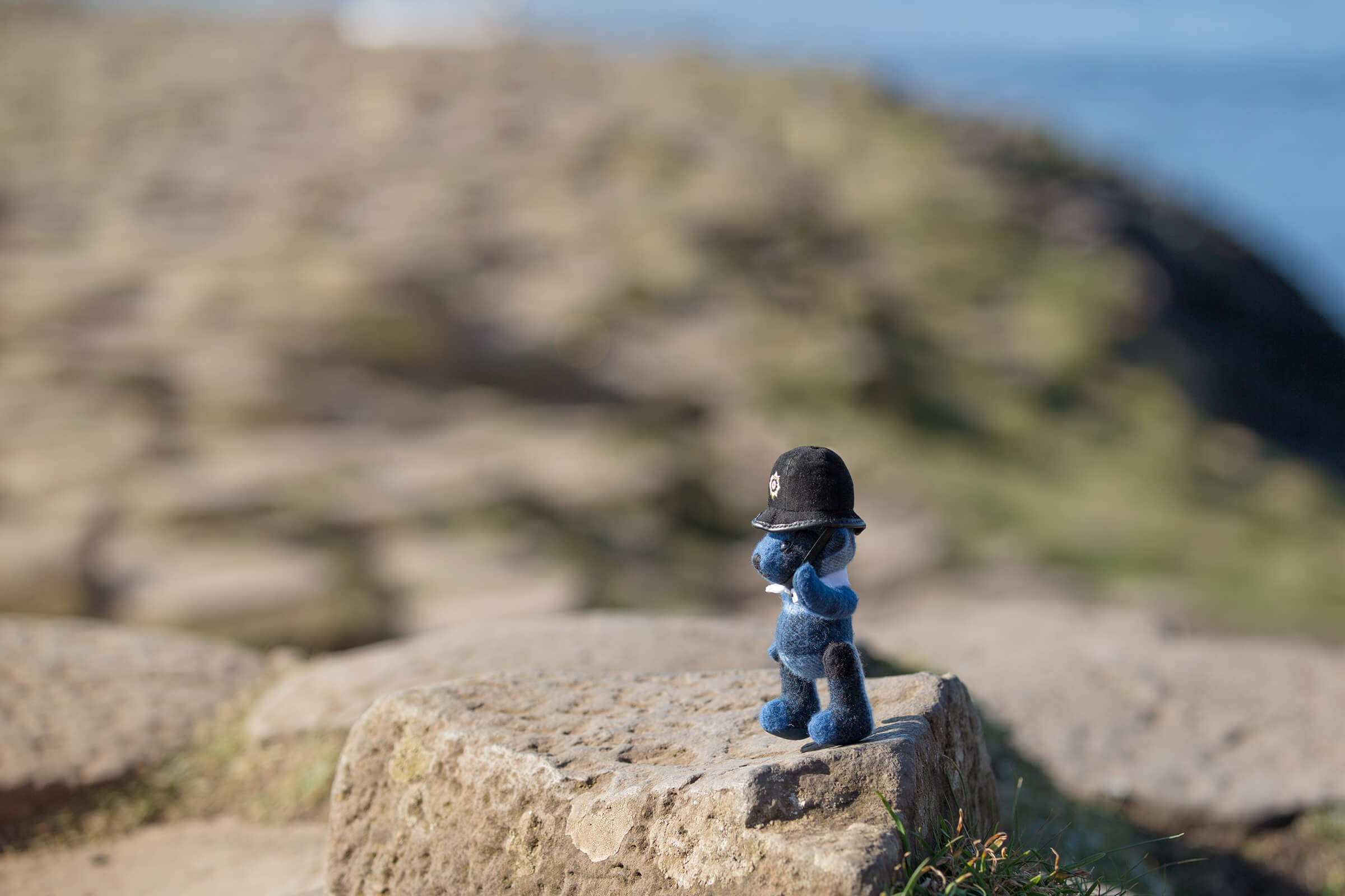 Burbeary Bob at the Giant's Causeway