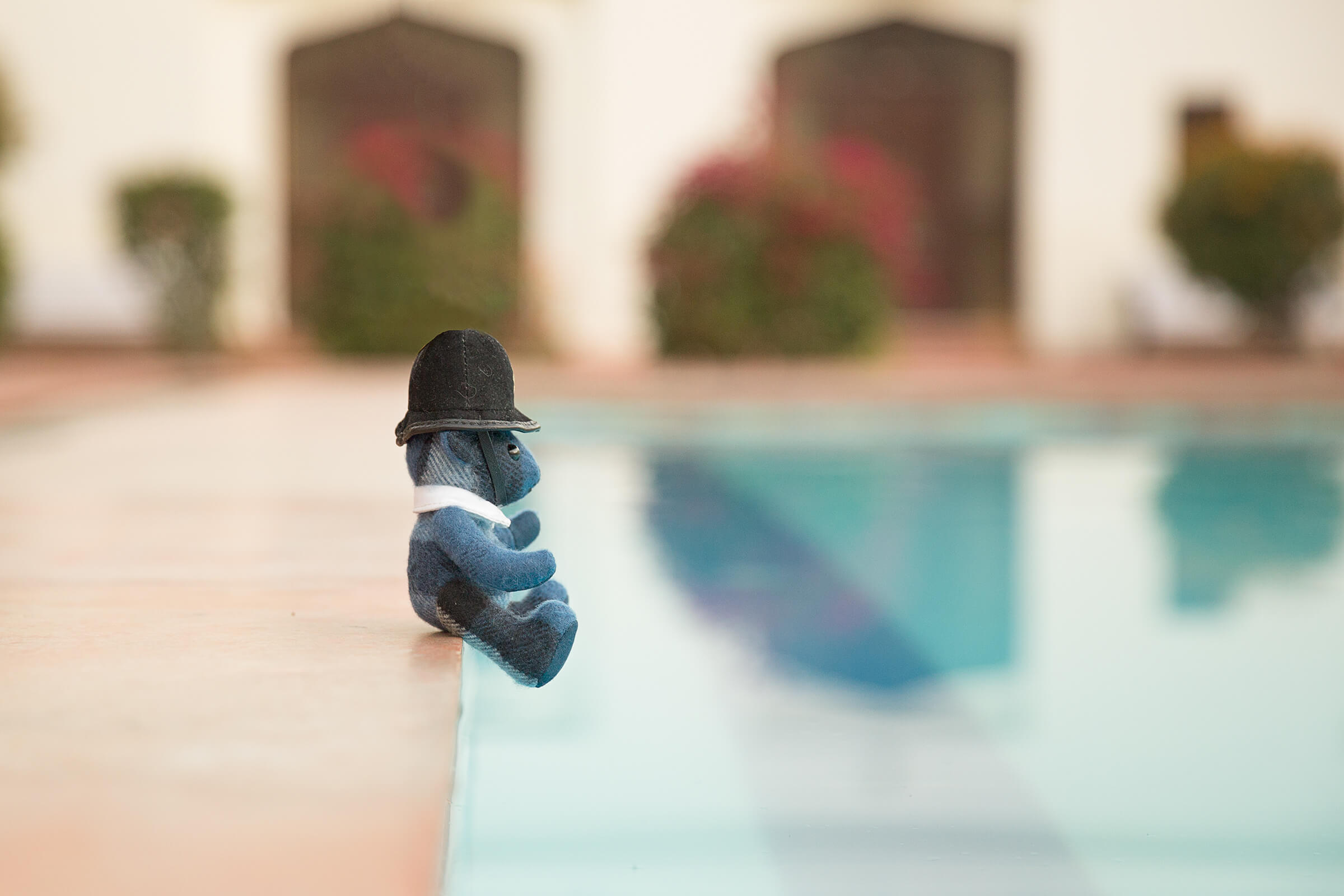 Burbeary Bob in India