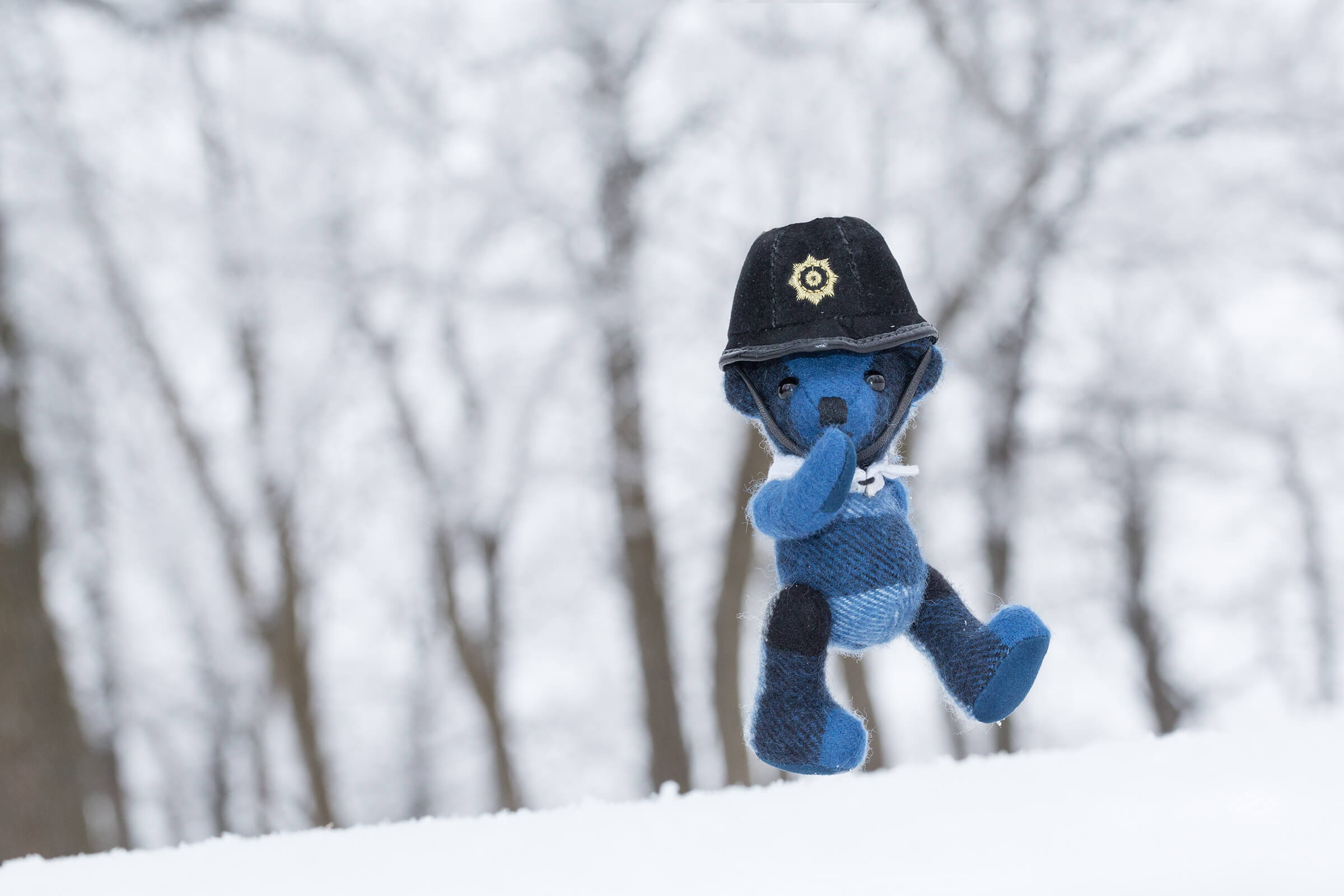 Burbeary Bob walking in the snow
