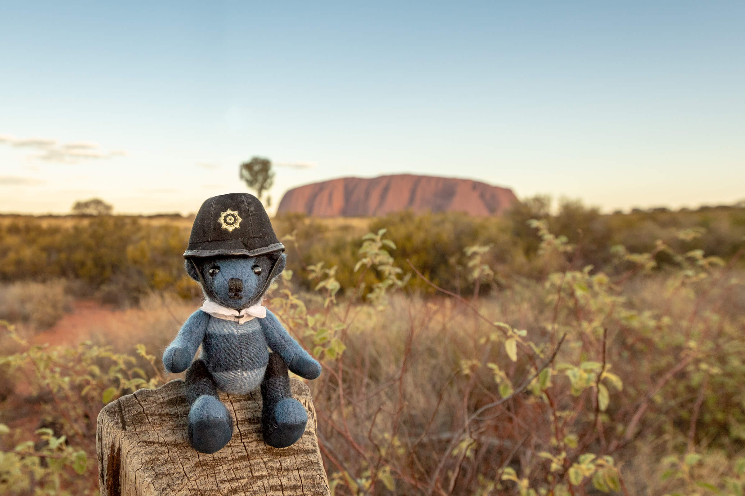 Burbeary Bob in Uluru, Australia