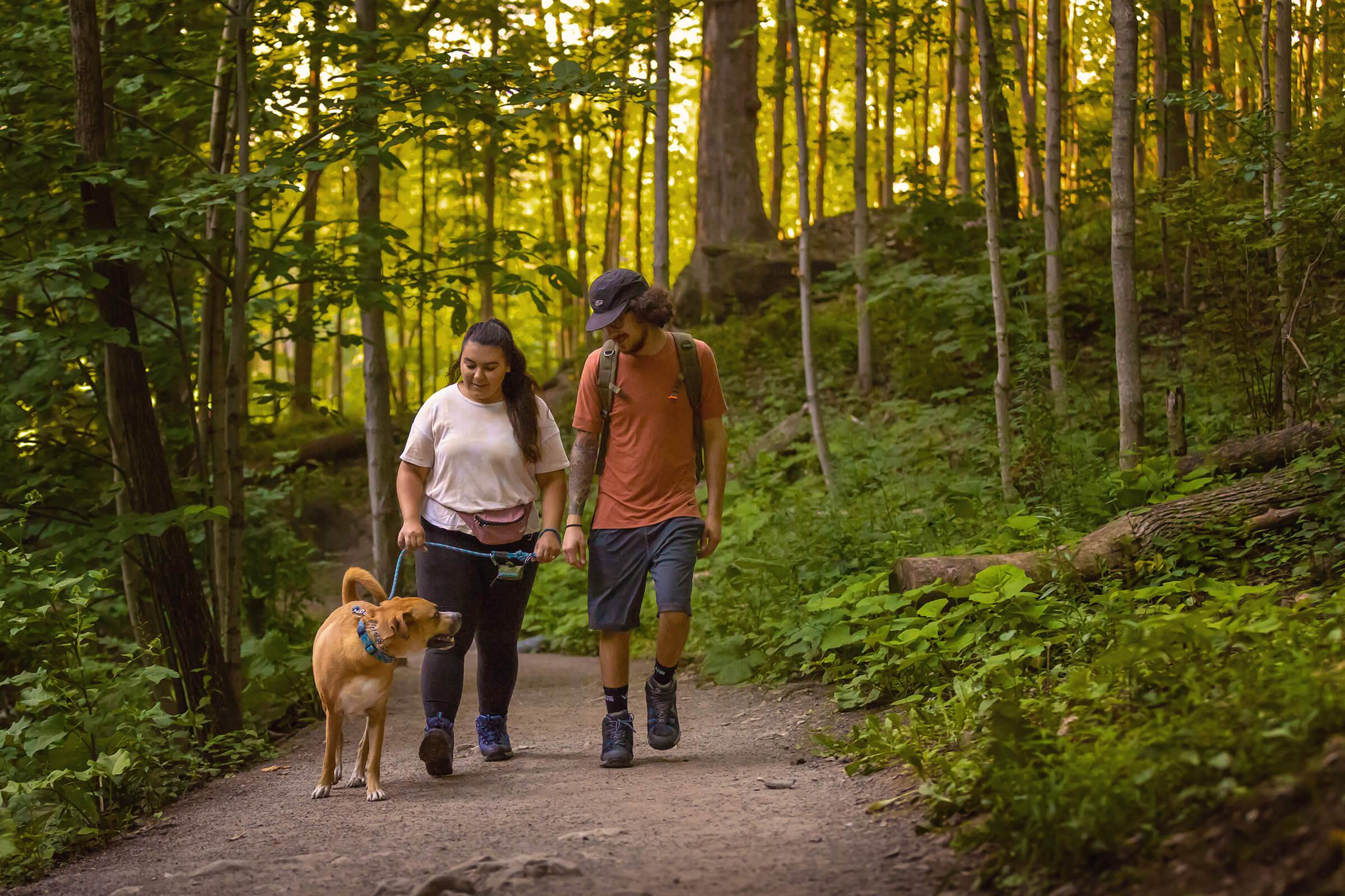 Tails from the Trail dog photography by commercial photographer in Hamilton, Ontario