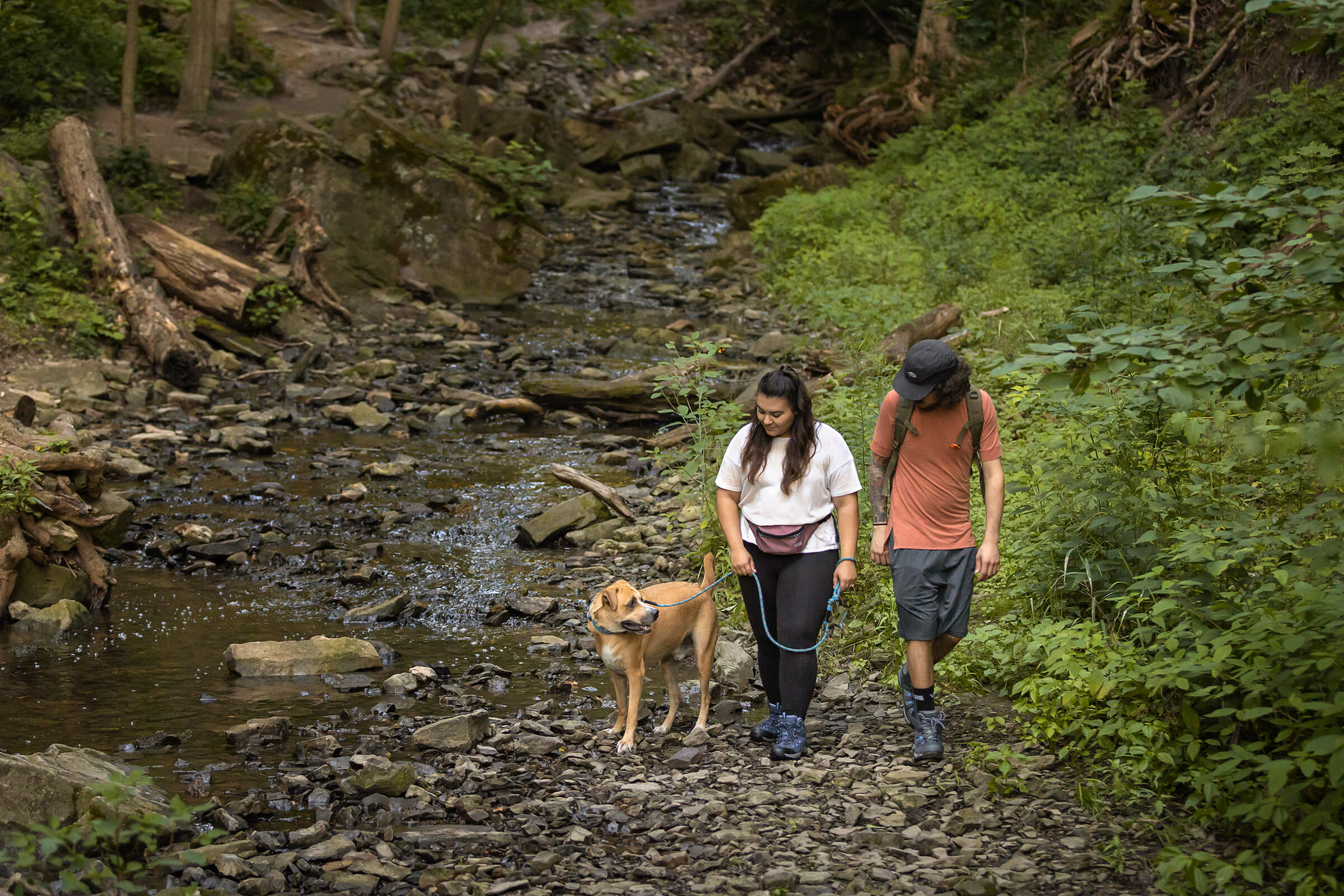 Tails from the Trail dog photography by commercial photographer in Hamilton, Ontario
