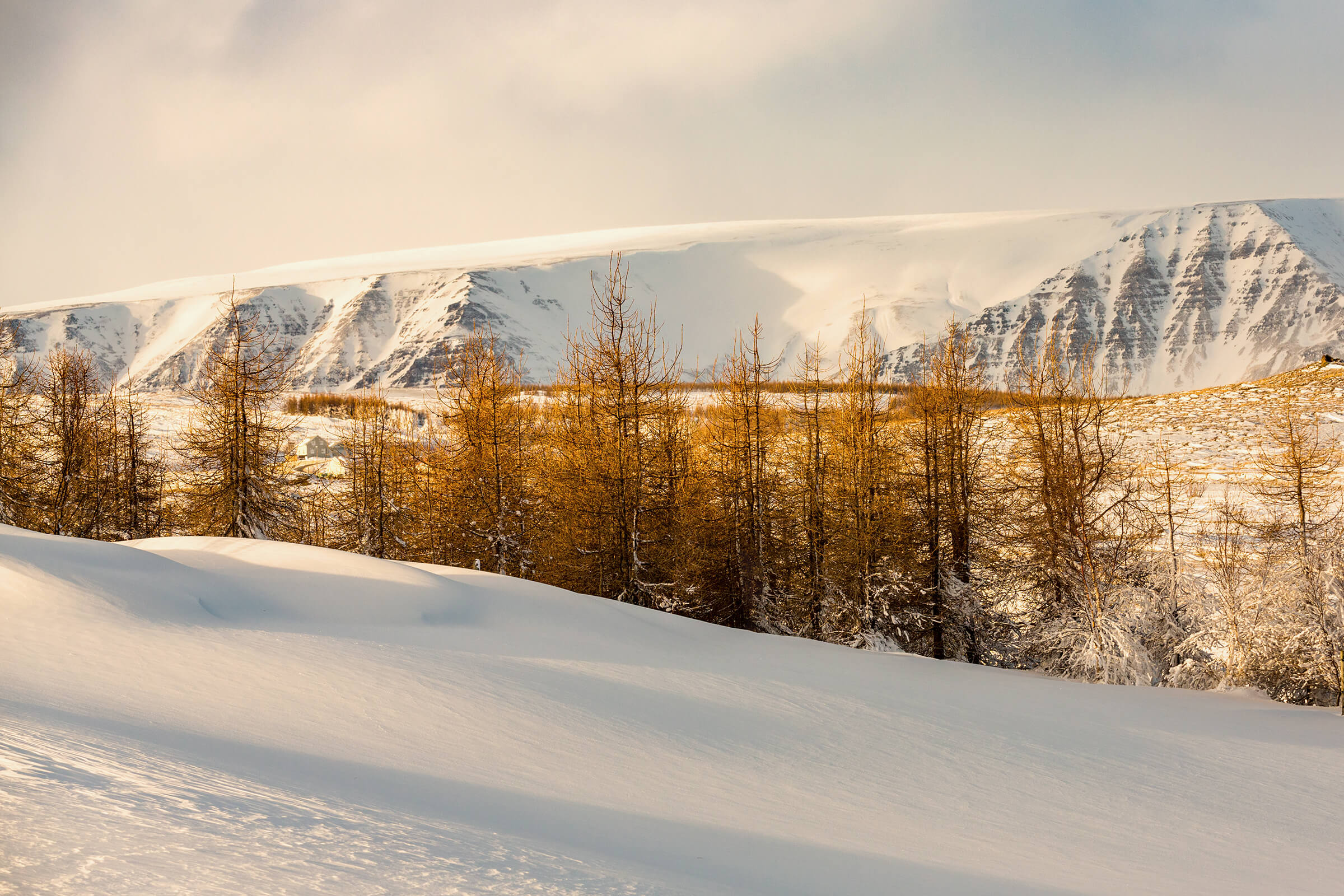 Large flat rock in Western Iceland.