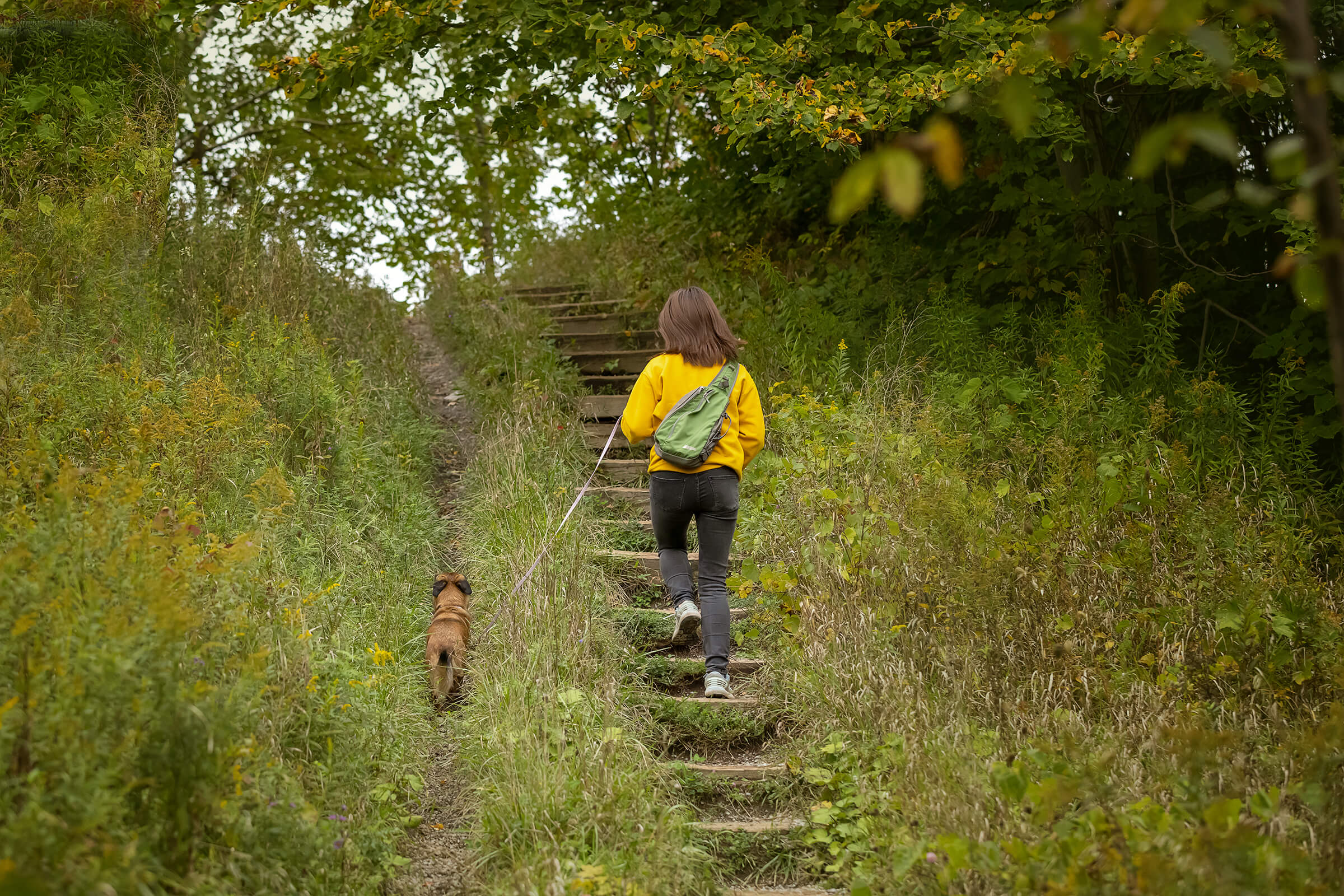 Tails from the Trail dog photography by commercial photographer in Markham, Ontario
