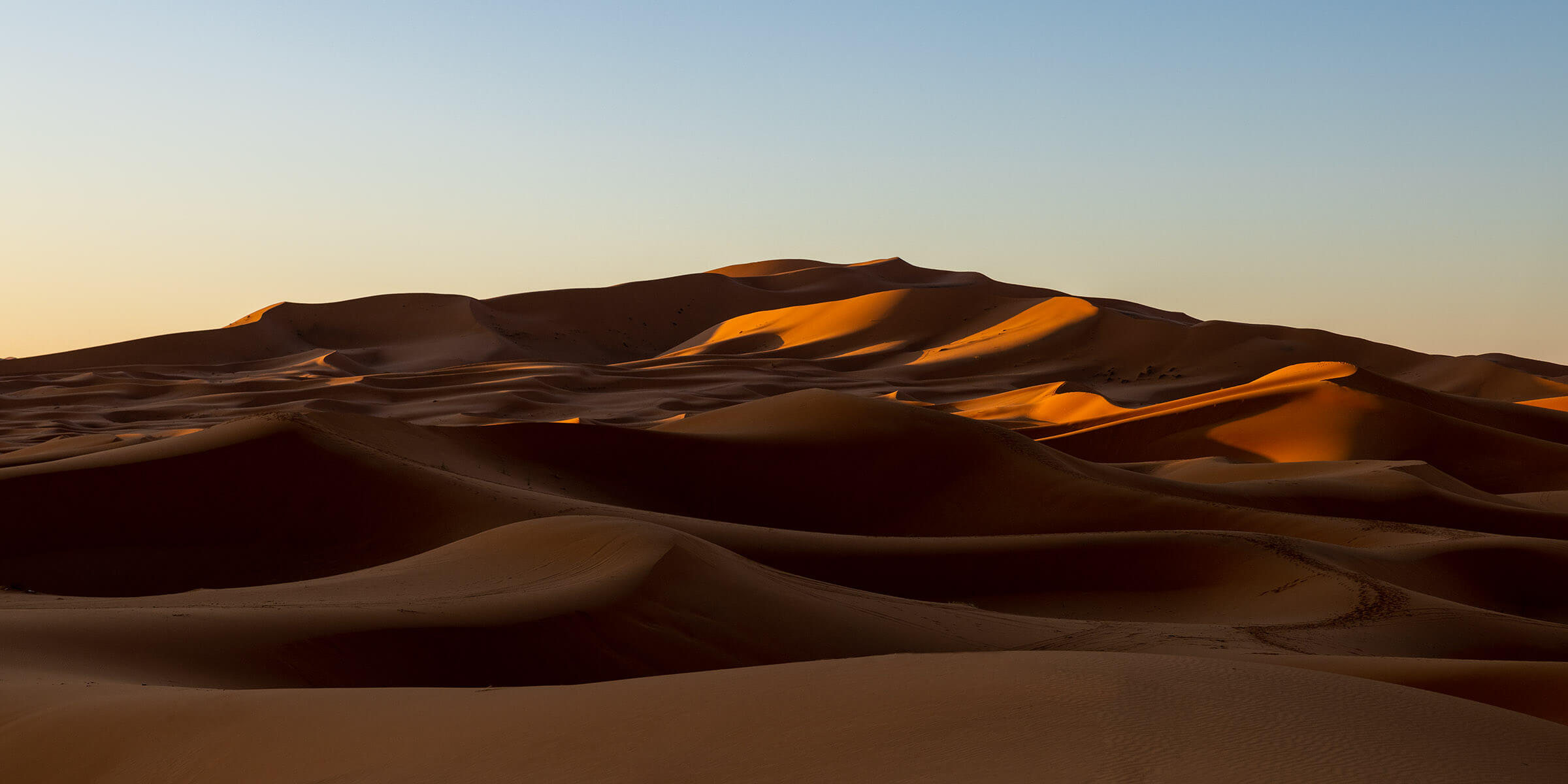 First light over the dunes of the Sahara
