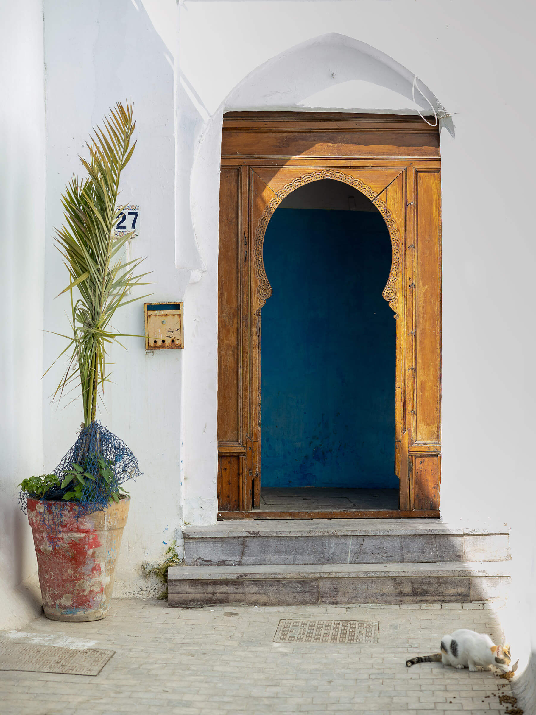 A cat eats outside the doorway in Morocco.