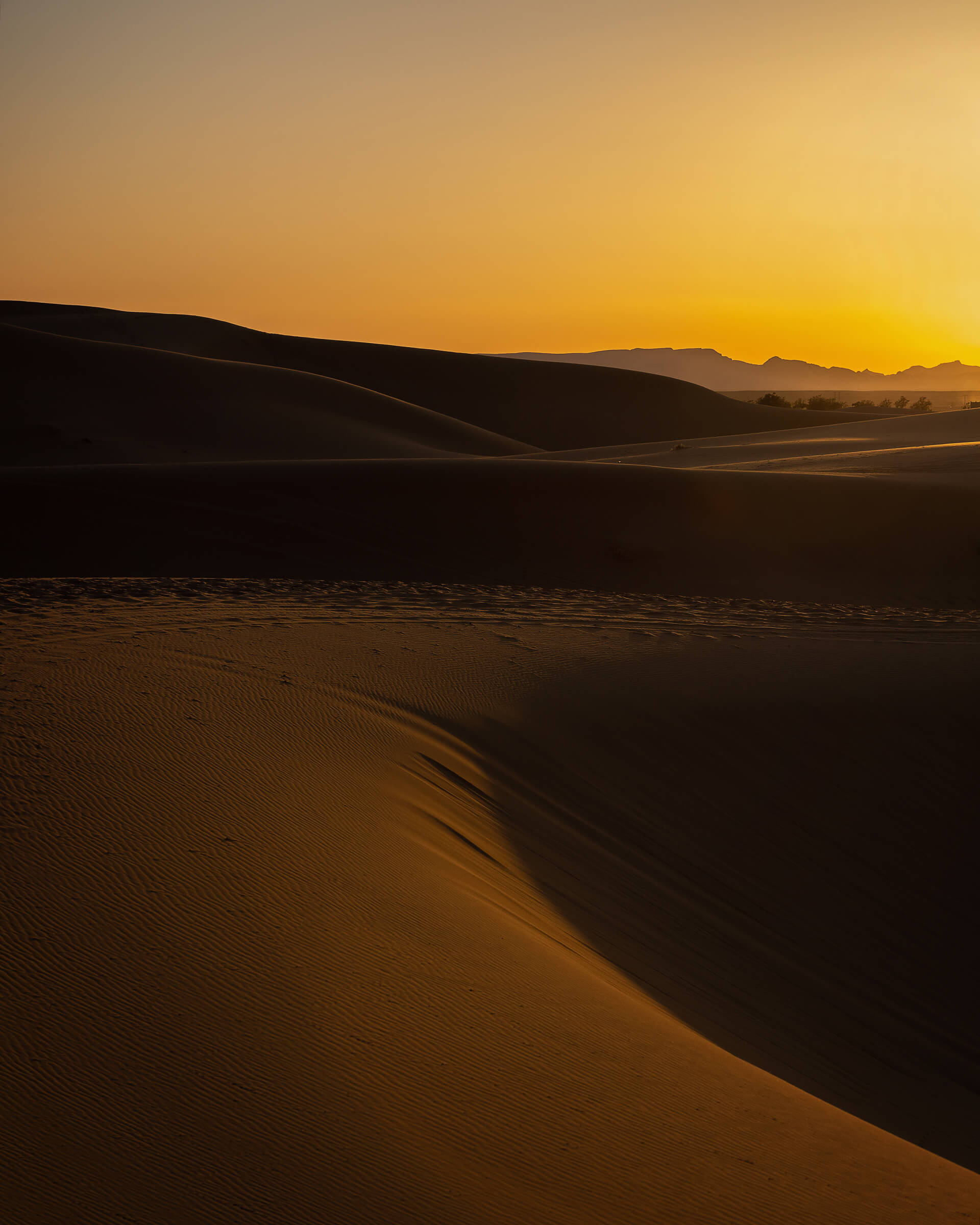 a dune in the Sahara, Morocco