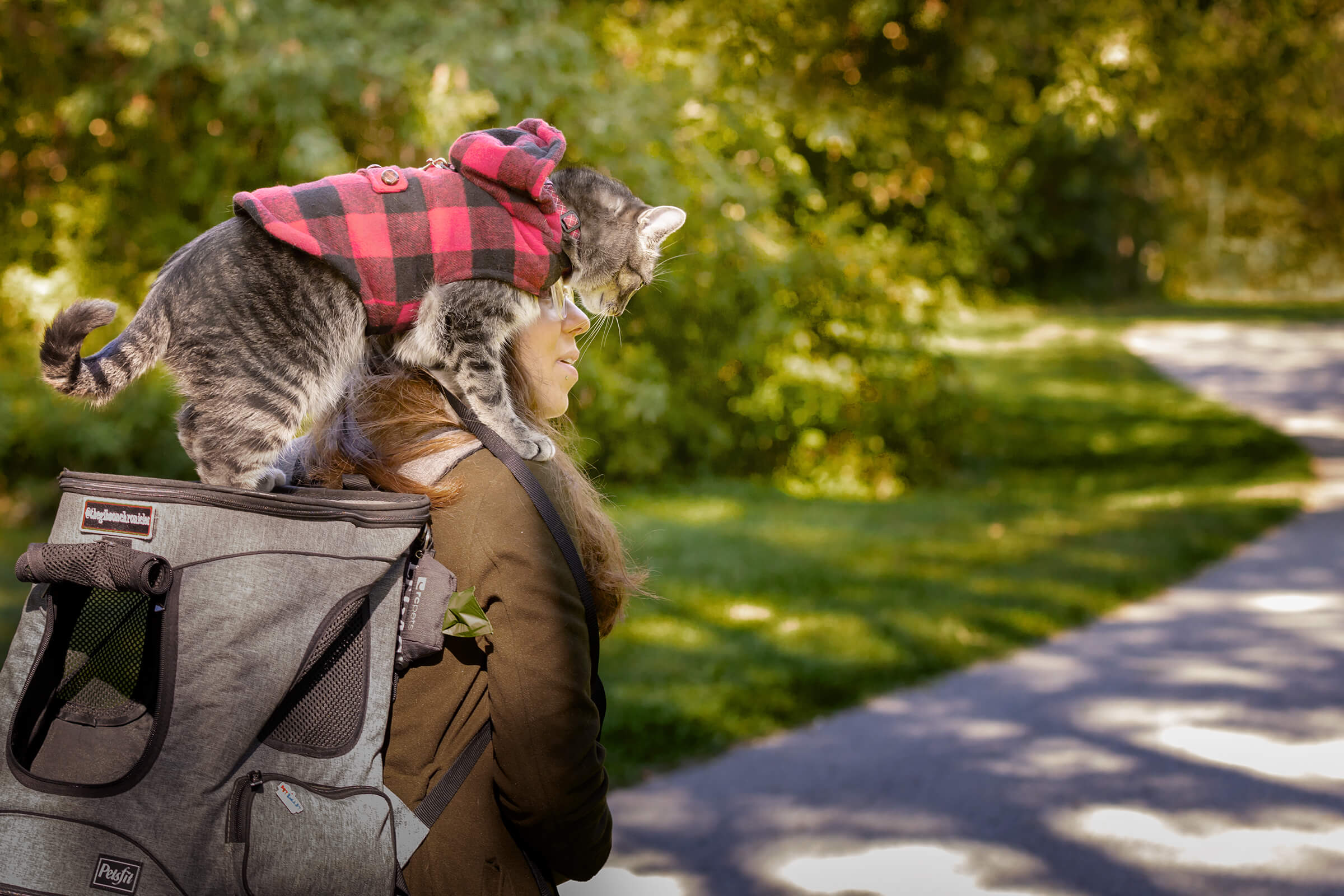 Tails from the Trail cat photography by commercial photographer in Toronto, Ontario