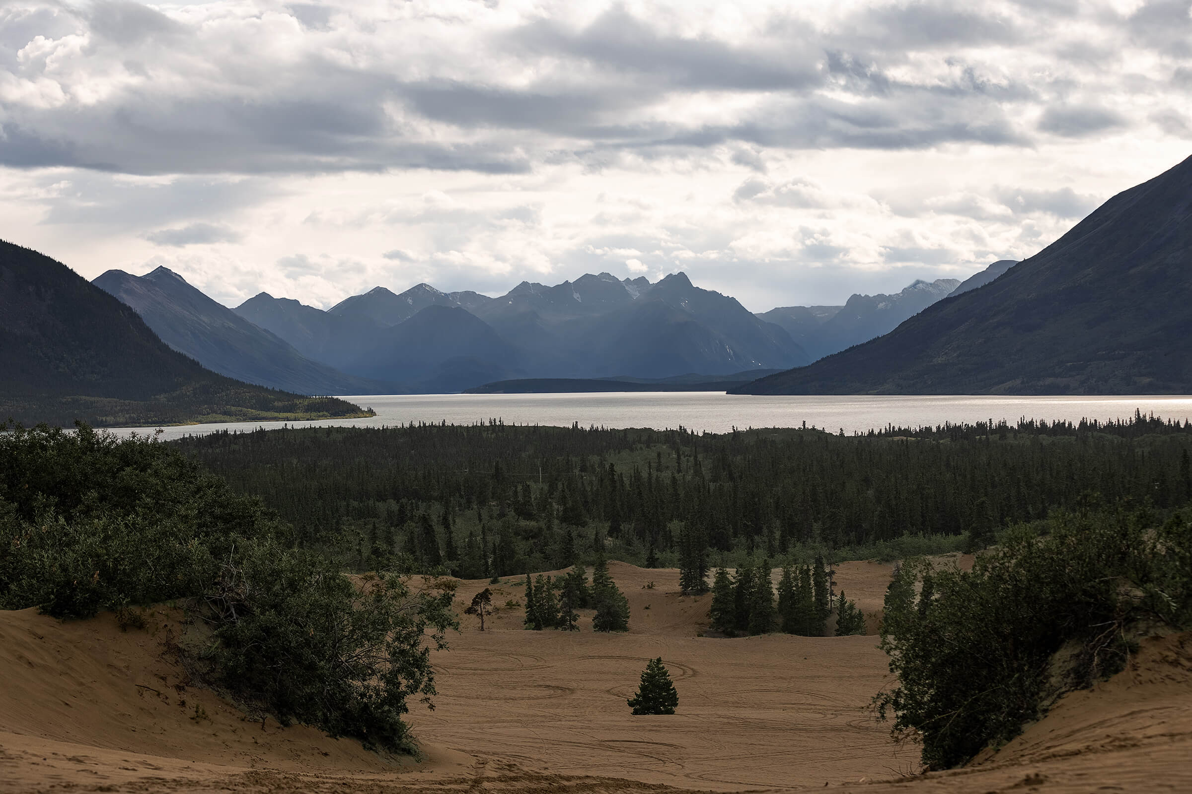 Carcross Desert in The Yukon, Canada by Karen Weiler Photography